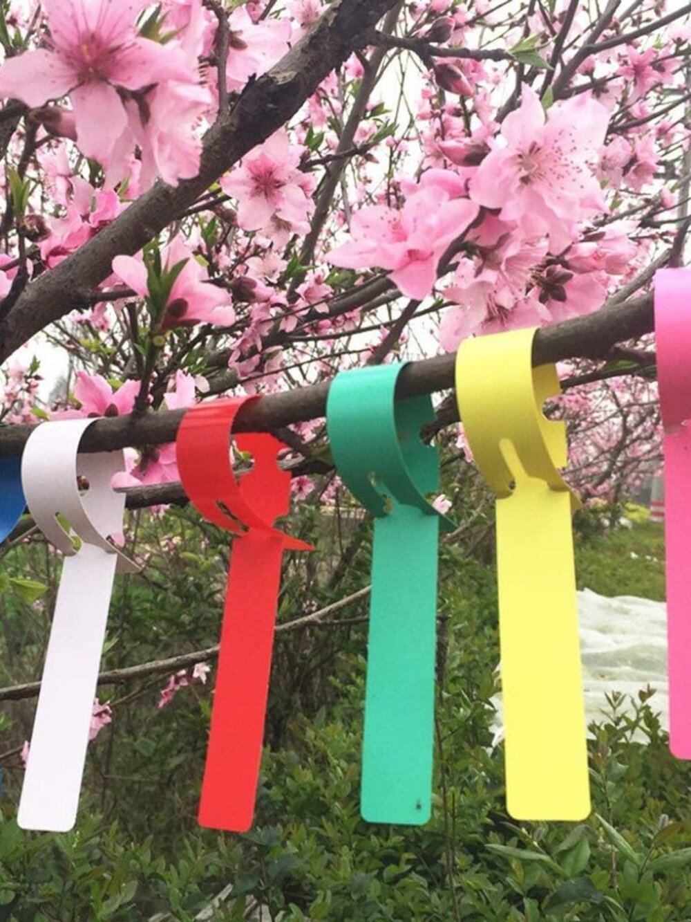 120Pcs 6 Colors Plastic Plant Labels Wrap Around Tree Tags Markers, Adjustable N